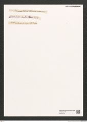 Diatomeae indet. Zeichnungen Sammlung Grunow (NHMW-BOT-W0375319)